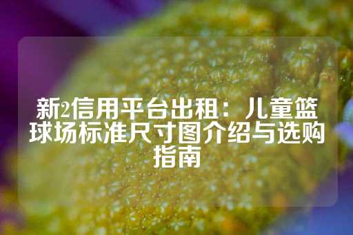 新2信用平台出租：儿童篮球场标准尺寸图介绍与选购指南