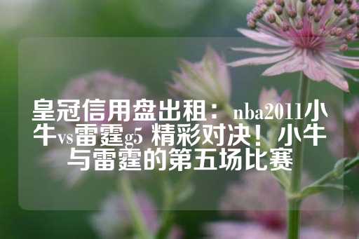 皇冠信用盘出租：nba2011小牛vs雷霆g5 精彩对决！小牛与雷霆的第五场比赛