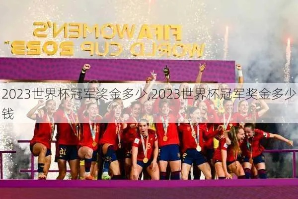 2023年女足世界杯冠军奖金 揭晓女足世界杯冠军奖金数额