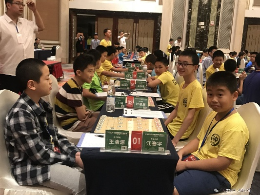 2018年全国青少年象棋比赛探寻年轻一代的智慧与勇气-第3张图片-www.211178.com_果博福布斯