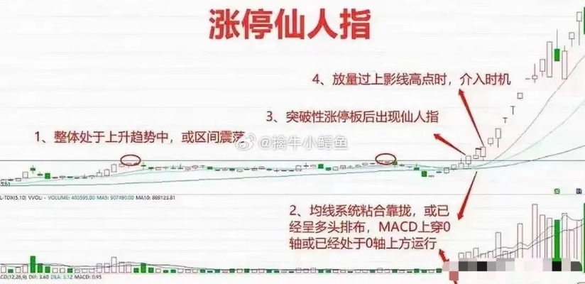 仙人指路欧洲杯 仙人指路5397v官网-第2张图片-www.211178.com_果博福布斯