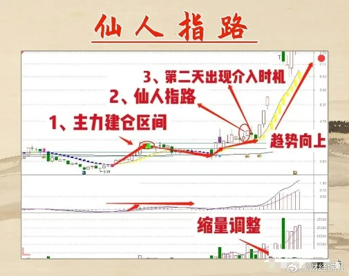 仙人指路欧洲杯 仙人指路5397v官网-第3张图片-www.211178.com_果博福布斯